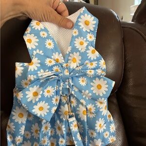 Stripped reddish dress and leash left- small or medium